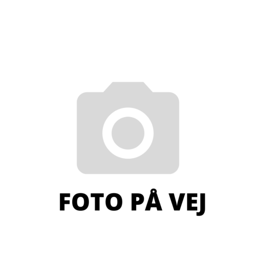 Magne Vesterdal Kjems